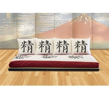Zen sofa (tatami and futon)