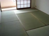 Set 6/8 Low tatami 100x200cm (3x4 o 4x4 metres) - Height 2,5 cm