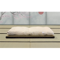Tatami bed for kids + Cotton futon